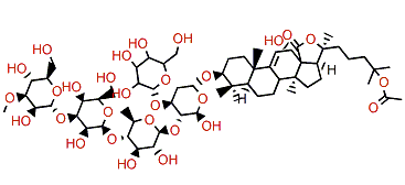 Pervicoside D